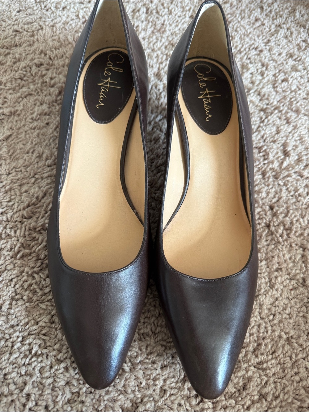 Cole Haan Dark Brown Leather Pointed-Toe Pumps